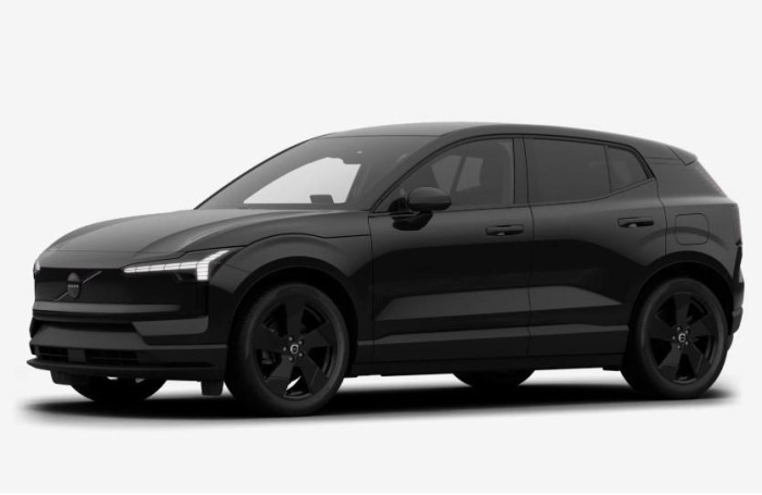 Volvo EX30 BLACK EDITION SINGLE PLUS
